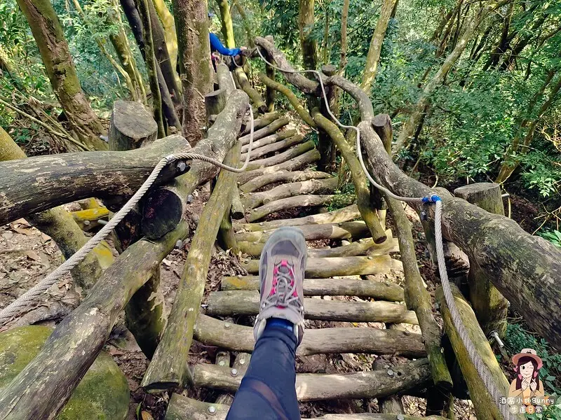 20221112 台中大坑4號步道