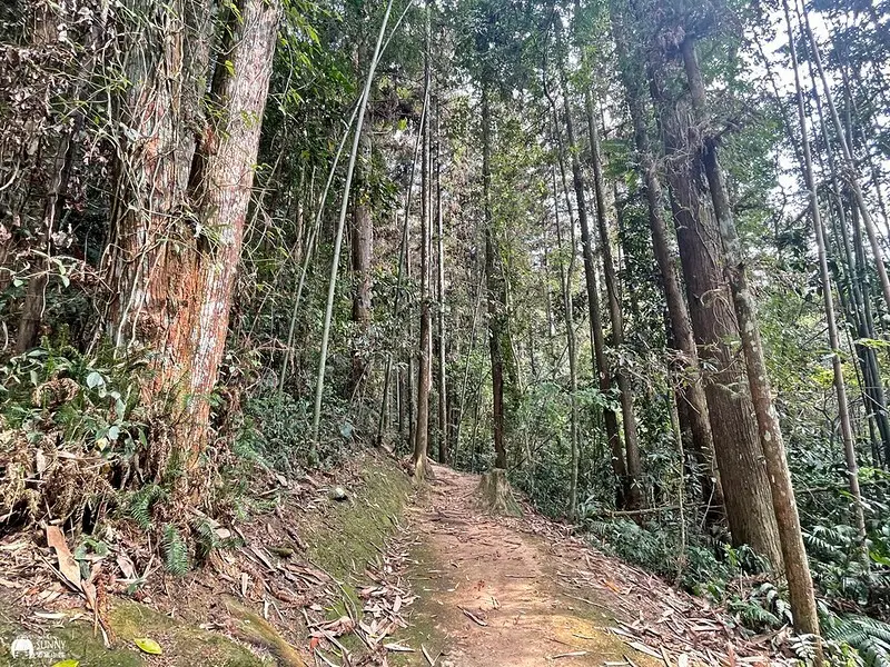 2021-03-31 14.44.17(1617596497.724663)