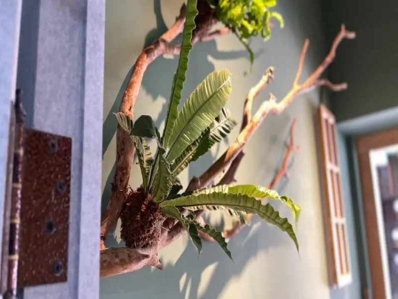 野餐日（台南開元店）