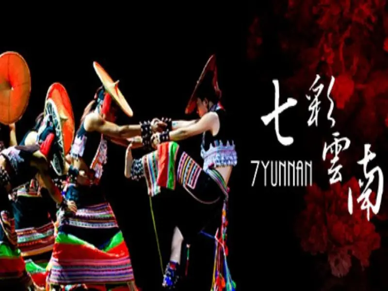 七彩雲南 7Yunnan（桃園店）