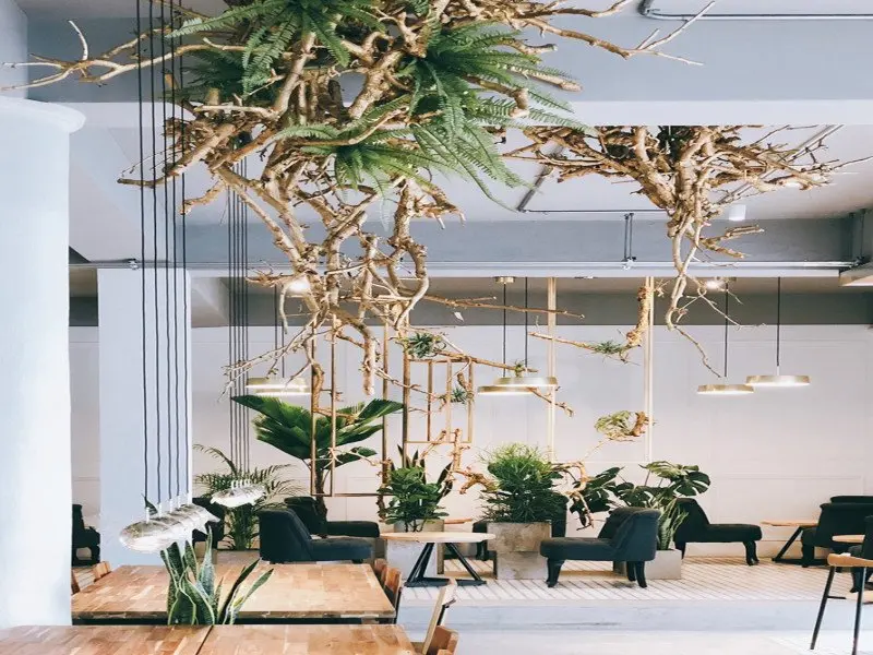 咖啡覺醒 Coffee wake up