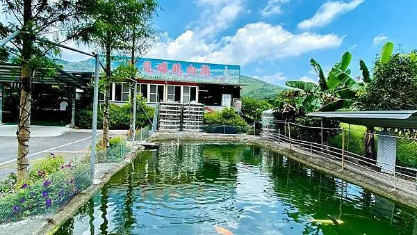 宜蘭員山隱藏版美食│望龍埤鵝肉攤│20元吃到飽│食尚玩家推薦│好吃新鮮便宜CP值高鵝肉店│望龍埤湖光山色之美