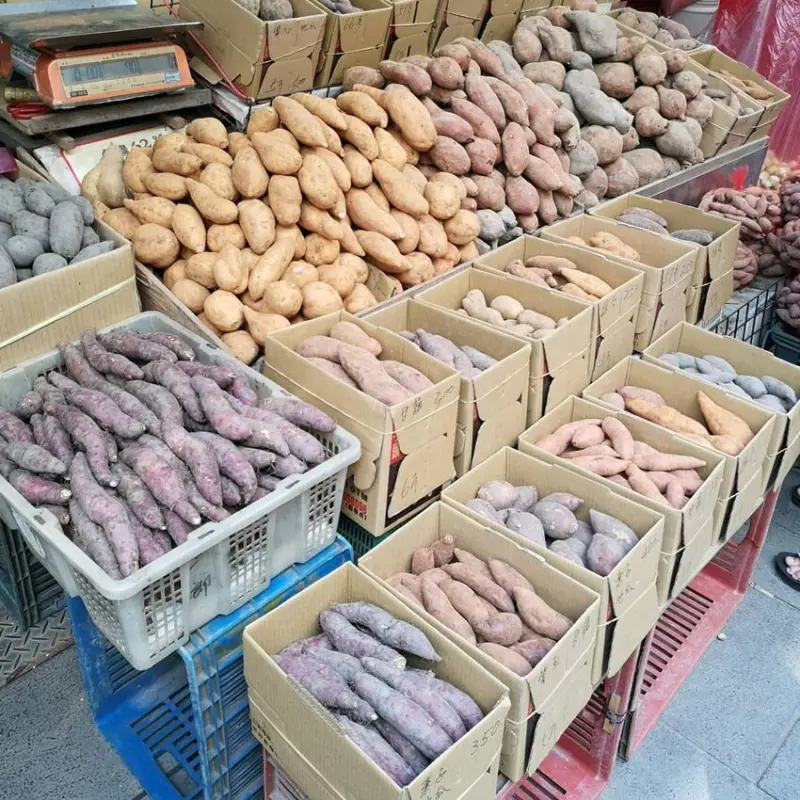 【2022金山老街名產】精選 9 大伴手禮、美食小吃，大家快收入口袋名單中！