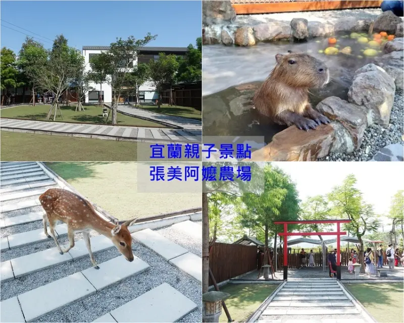 宜蘭親子農場 近距離餵小鹿/水豚君/袋鼠/草泥馬