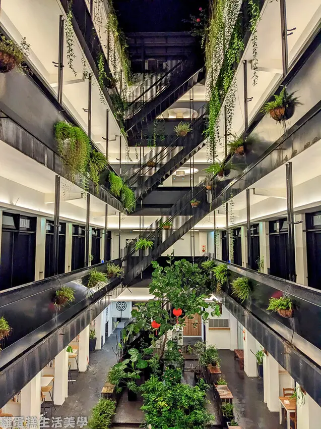 【台東住宿】路得行旅國際青年旅館(台東館) - 單車友善，充滿森林感與書香氣息濃郁的文青旅店