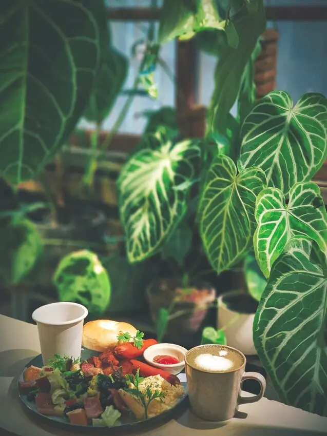 【台北.東門站】寵物友善早午餐推薦。福丸手做早午餐。店內滿滿蕨類+超美龜背芋 - 南洋峇里女子SPA館