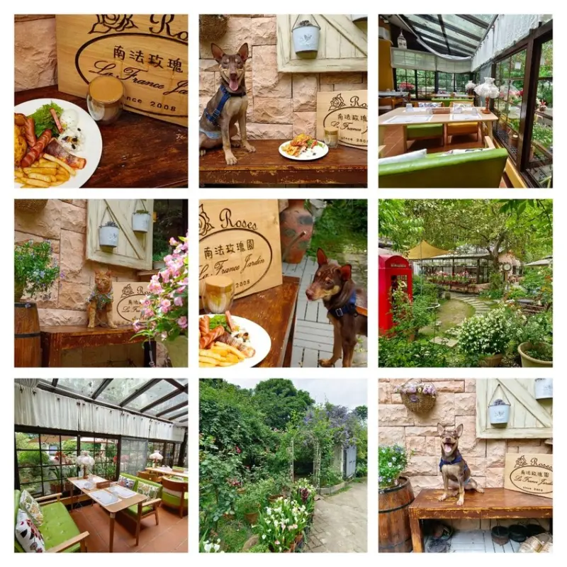【桃園.大溪】南法玫瑰園。寵物友善餐廳。戶外座位超悠閒南法風格很適合拍寵物寫真
