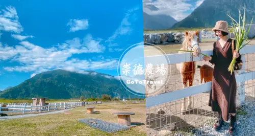 花蓮崇德瑩農場花了最貴的門票、一秒來到紐西蘭餵牛羊馬兒，親子網美景點