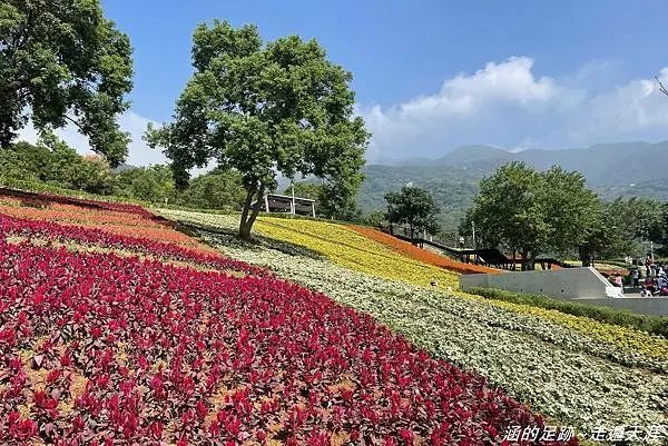 [台北景點推薦] 北投社三層崎公園 ~ 台版富良野提前登場，夢幻繽紛花海盛開中!  IG打卡必訪景點