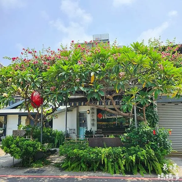 【高雄‧鳳山】野好餐館Brunch&bistro│植物包圍的老屋、貓咪、植物、手作餐點，慵懶在五甲公園旁用餐的午晚