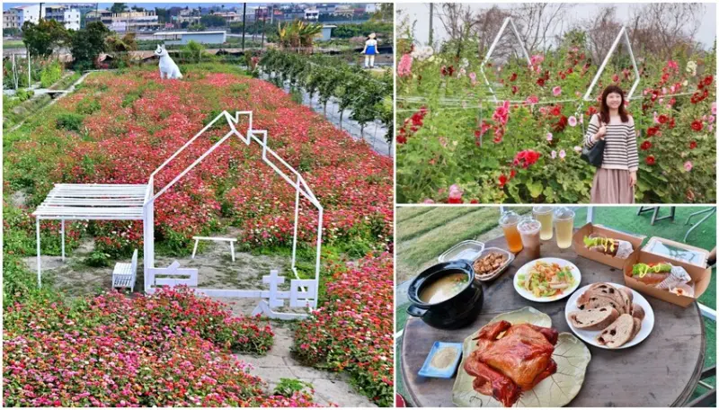 彰化田中蜀葵花季｜田中蜀葵花季隱藏在田中窯創藝園區中，純白戶外綠洲裝置藝術美拍～炭烤桶仔雞.戶外野餐.