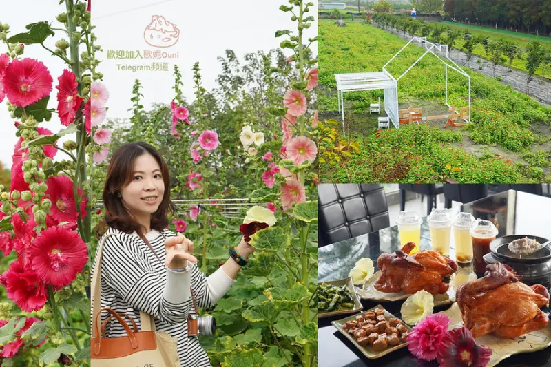 田中窯創意園區《蜀葵花海節》“宅一起” 是舒服的和你膩在一起