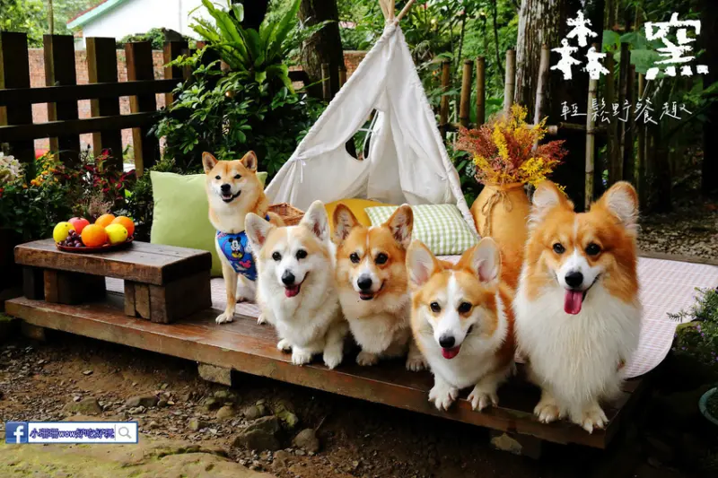 【新竹北埔景點】森窯〜山林最秘境！森林系窯烤披薩專賣，到山林裡一起野餐吧！