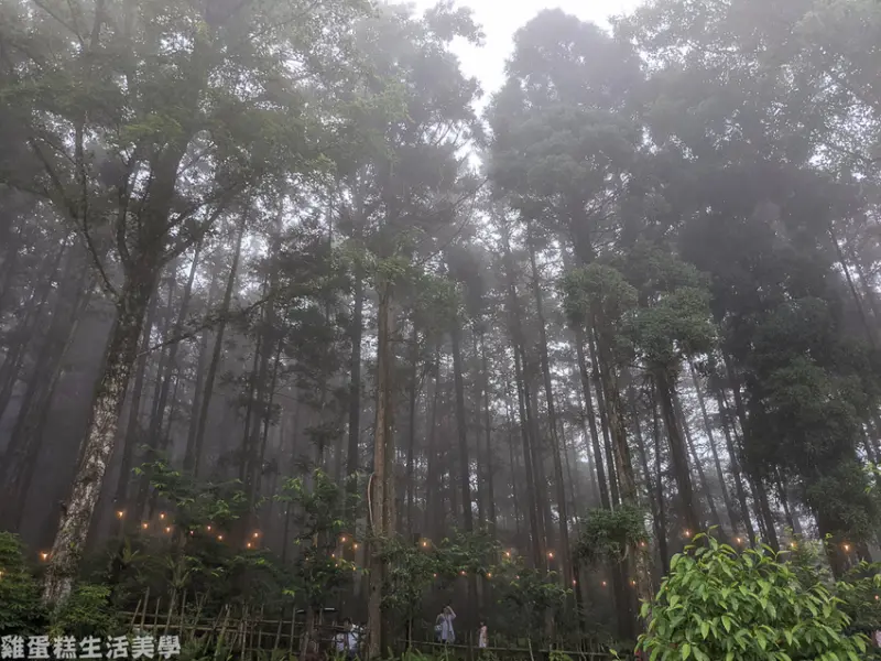 【新竹食記】北埔森窯 have a Picnic - 森林中享用薄皮披薩，吸取大自然芬多精