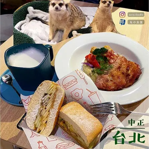 肉球森林｜東門療癒動物咖啡廳推薦 @neru.foodie / 丸の良食