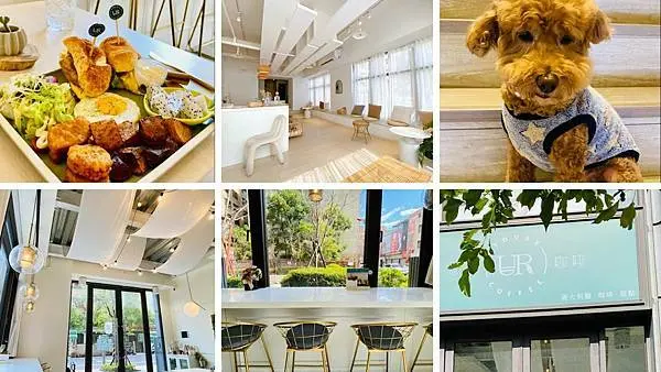桃園韓風咖啡廳【悠食咖啡Yours cafe】清新明亮有質感咖啡廳/隱藏巷弄內網美打卡餐廳/桃園藝文特區寵物友善餐廳
