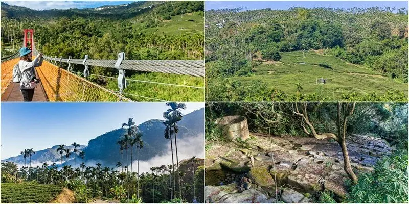 【嘉義梅山景點】太興飛瀑步道+行鷺吊橋.三層阿葉溪瀑布.仿蔓藤行鷺吊橋