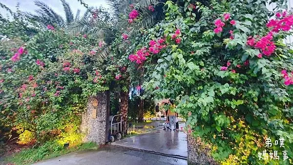 【屏東‧里港】水明漾活蝦景觀餐廳│來到峇里島的茅草發呆亭品嘗多樣蝦料理，滿滿蓮花田和可愛紅冠水雞! 免費