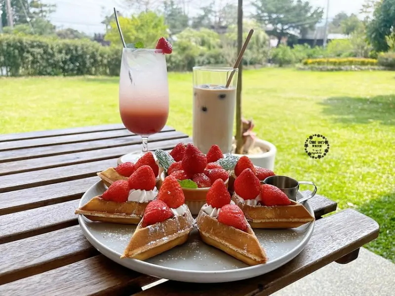 山水啡，台中新社熱門庭園景觀餐廳，可愛草莓鬆餅輕食下午茶，超大片草地，寵物友善餐廳 - Cyndi loves享食天堂