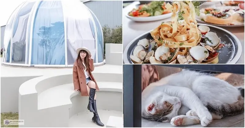 桃園龍潭美食-貓禾咖啡-超網美好拍的球型戶外景觀貓咪咖啡廳/乳姑山玻璃屋夜景/義大利麵 排餐 甜點 飲品/寵物友善