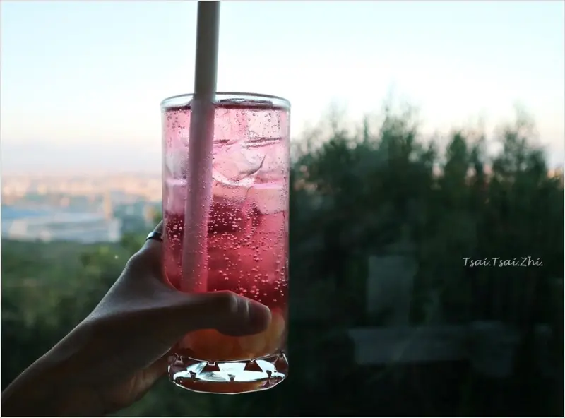 [桃園龍潭]貓禾咖啡|露天玻璃泡泡屋，啜飲咖啡眺望山景貓咪來作伴