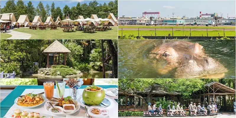 【高雄小港】淨園農場全新改版2.0.草原帳棚.湖邊木屋泰式料理夜泰美.看飛機.找河馬.長臂金絲猿.落羽松森林