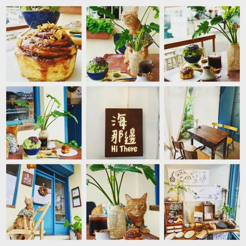 【基隆】正濱漁港寵物友善咖啡廳。海那邊HI There咖啡+刨冰+海鮮茶漬飯