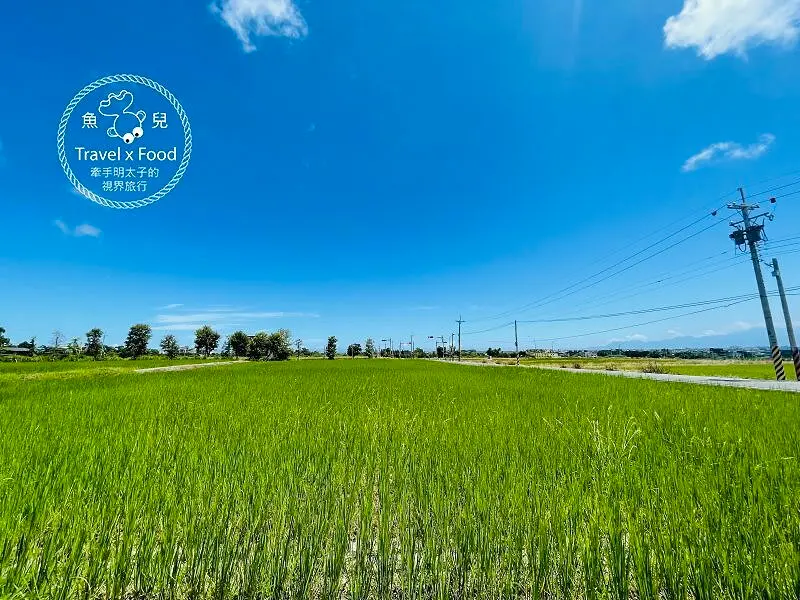 蒔花咖啡 DailyBlossom Cafe & More｜不限時用餐，殖民地風格建築，座落於田野間的網美系餐廳 @ 魚兒 x 牽手明太子的「視」界旅行