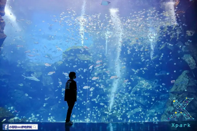 【遊。桃園】Xpark水族館〜北部最大水族館！日本橫濱八景島首度跨海來台，分館插旗桃園，免飛日本！
