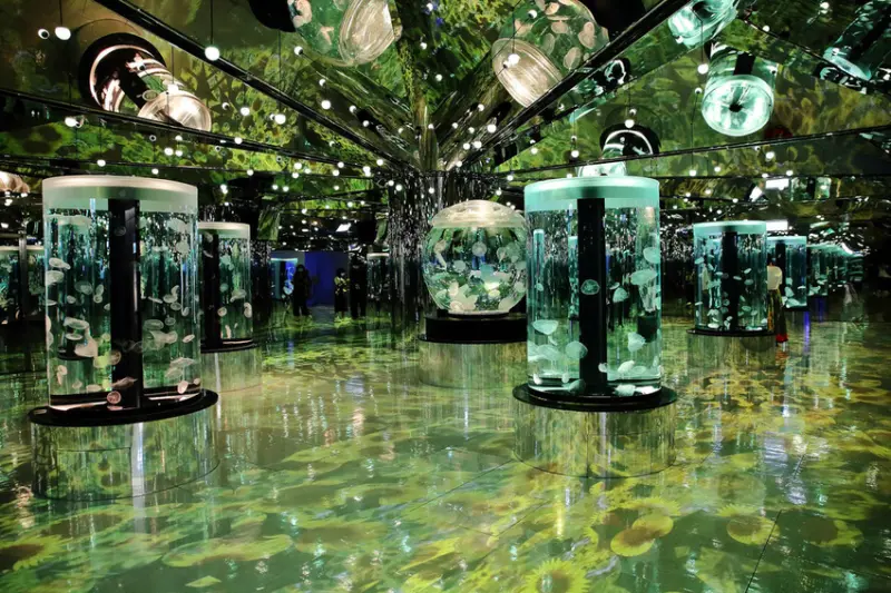  Xpark水族館/ WalkerLand窩客島整理提供 未經許可不可轉載