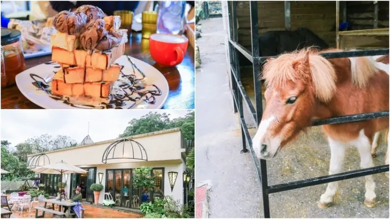 小馬貝菈-Ezi森活 ▏隱身三芝三生步道內的歐式花園 親近摸一摸、喂食小馬。寵物友善餐廳 戶外草皮、櫻花步道。三芝、北海岸親子餐廳