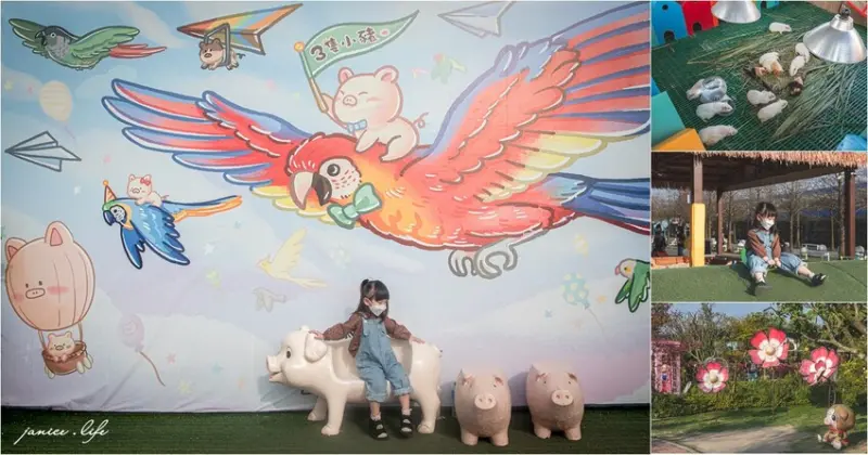 嘉義親子景點｜3隻小豬觀光農場｜與小動物的近距離互動．遊戲區．大草皮．動物景觀餐廳 - 潔妮食旅生活