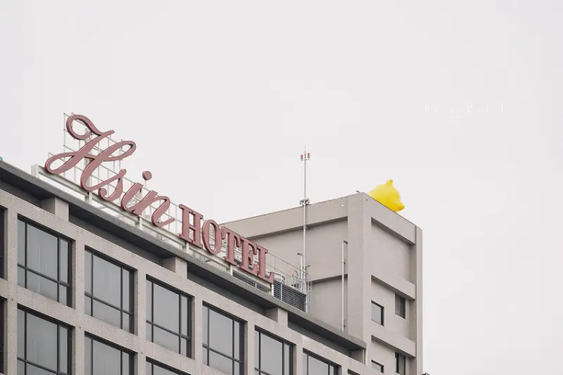 嘉義市東區嘉義市住宿 | 新悦花園酒店 Hsin Hotel | 室內球池、遊戲室、寬敞草皮、小型賽車場，超讚親子飯店住起來～