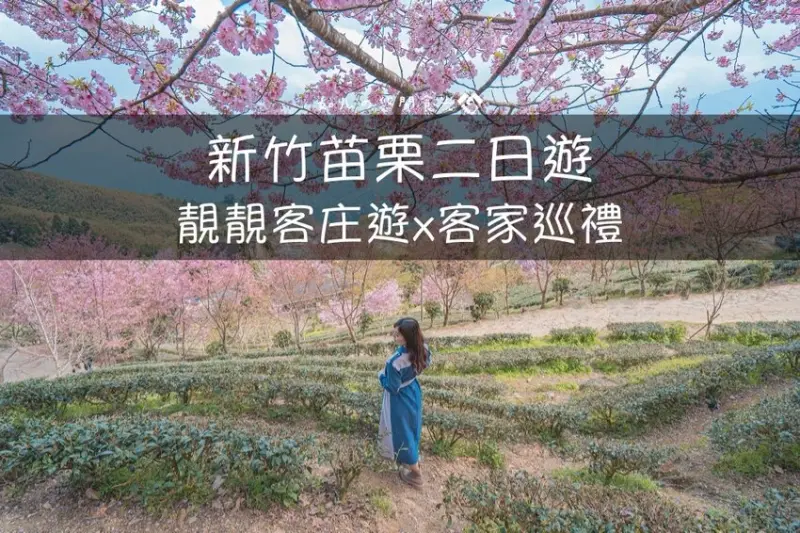 【桃竹苗旅遊／景點】新竹苗栗二日遊x客家巡禮｜五大享受一次擁有，包套行程一咖行李帶著走｜雲端粉紅秘境
