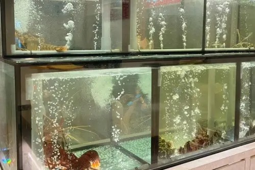 中山區美食----三十年老港式九記海鮮