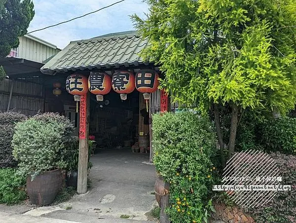 台中南屯-[田寮農莊] 老字號道地辦桌手路菜，精緻個人套餐與多人桌菜，親子與寵物友善私藏秘境，台式田野風光夢幻落羽松景觀餐廳