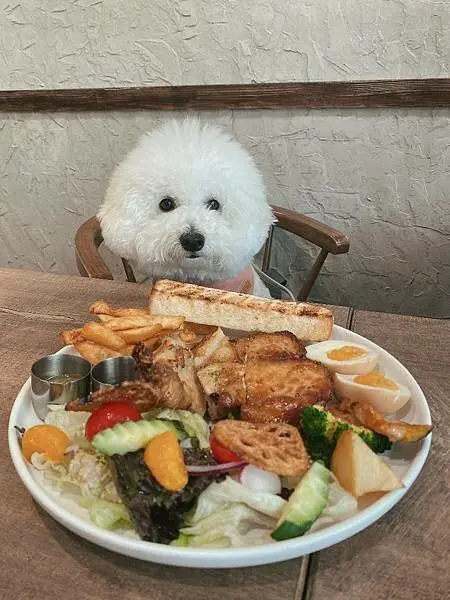 20220305@中壢旅人咖啡