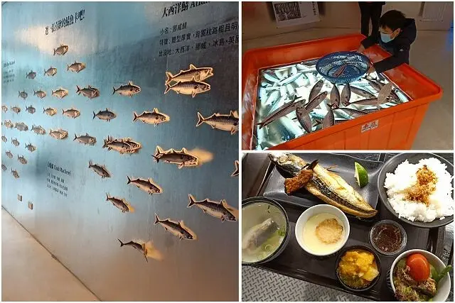 大鯖魚夢工廠~~鯖魚主題觀光工廠．抓鯖魚互動體驗好有趣．美味的鯖魚料理超好吃
