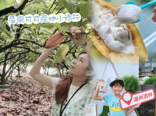 台灣屏東可可產地小旅行~今年最酷熱的暑假作業,尋找南國可可去!