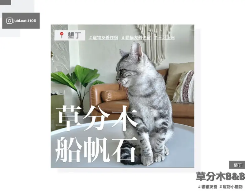 【草分木B&B·船帆石】｜墾丁住宿｜寵物友善民宿｜貓貓友善民宿｜太美了❤️
