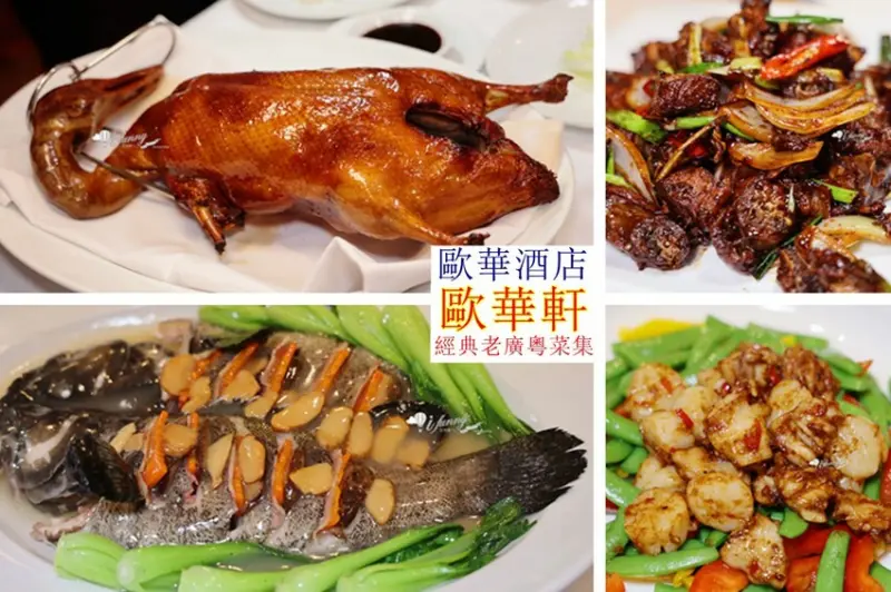 中山國小站 | 歐華酒店歐華軒中餐廳  經典老廣粵菜集 台北金黃酥香烤鴨超推薦