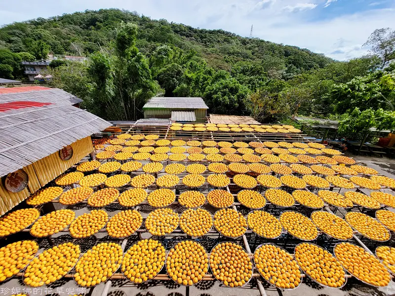 【新竹-新埔鎮】2021新埔柿餅節｜味衛佳柿餅教育農園｜九月中至隔年一月
