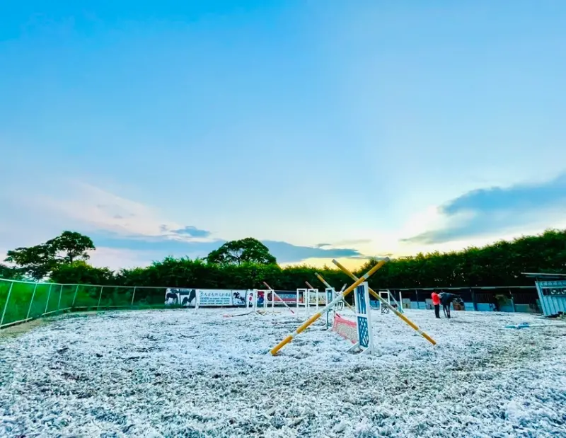 【新竹旅行】大日馬術文創園區 - 優良產後運動，修正姿態的馬術體驗