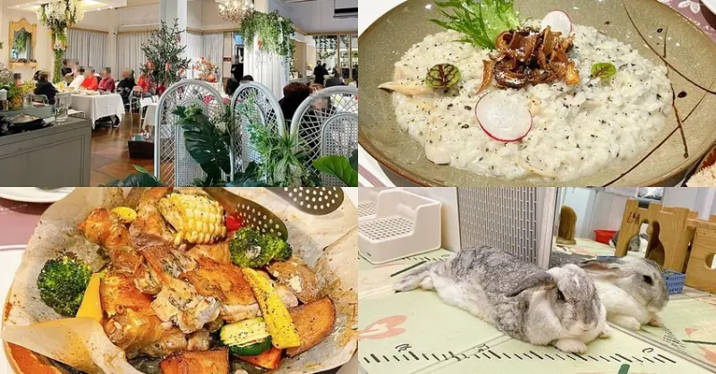 綠萼159異國料理，台中最美白色森林系歐式餐廳，萌系兔兔，二樓藝文空間 - Cyndi loves享食天堂