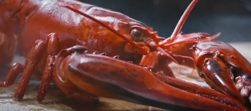 [麥當勞]螯龍蝦堡貴嗎？我認為不貴的最大原因