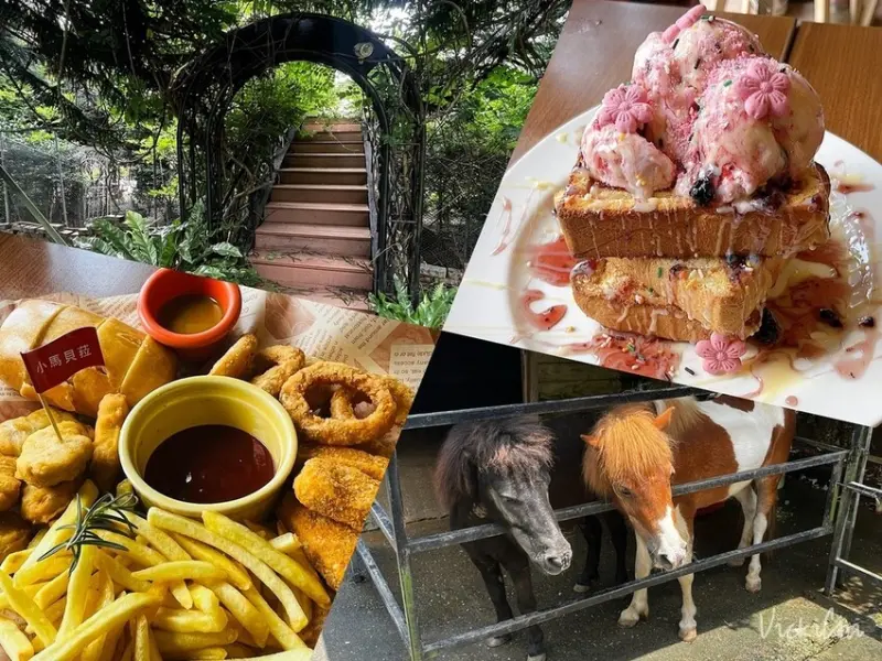 新北三芝｜不限時，對親子及寵物友善的小馬貝菈咖啡廳