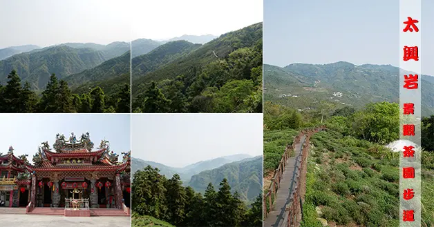 【嘉義景點】太興岩景觀茶園步道(寵物友善景點)，茶園步道彷彿一直延伸至山中央，細細聆聽享受這山林為我們譜出美妙的音樂，一路往下走到泰興巖。嘉義旅遊 親子旅遊景點