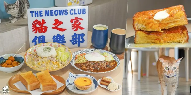 巨蛋商圈巷弄最療癒系 貓之家俱樂部，經典手作特色港點、法蘭西吐司、限量蛋塔手工甜點 X 一起來嚕貓、寵物友善 - 跟著尼力吃喝玩樂＆親子生活