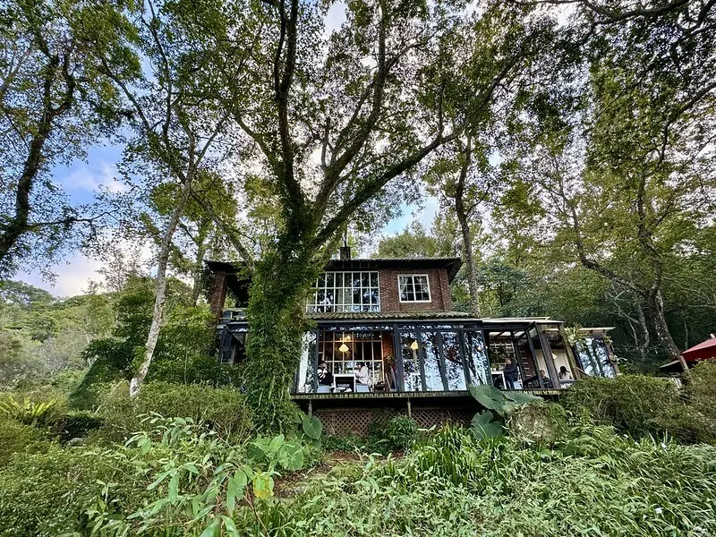 6號花園｜新竹秘密角落，尖石超美世外桃源。（新竹咖啡館/夢幻露營地）