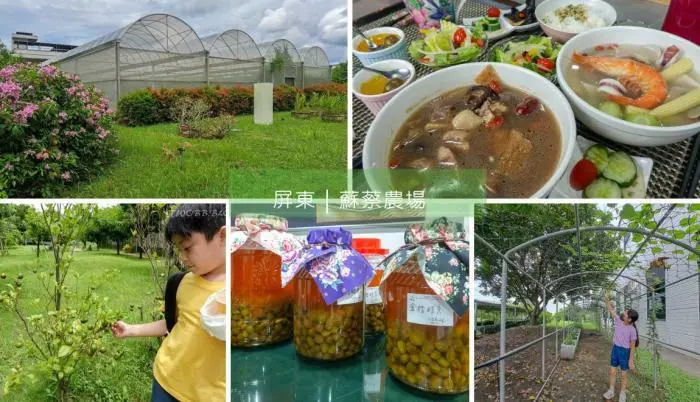 屏東景點｜蘇蔡農場 & 蘇蔡農場餐廳》屏東農場推薦！自產自銷絕對新鮮的有機食材餐廳，還有好吃養生美食。 - 1個媽咪2個寶